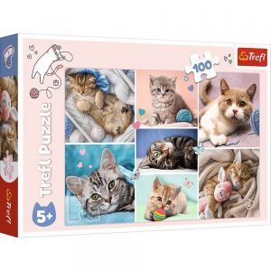 Trefl puzzle:  100 - In the cat world TREFL